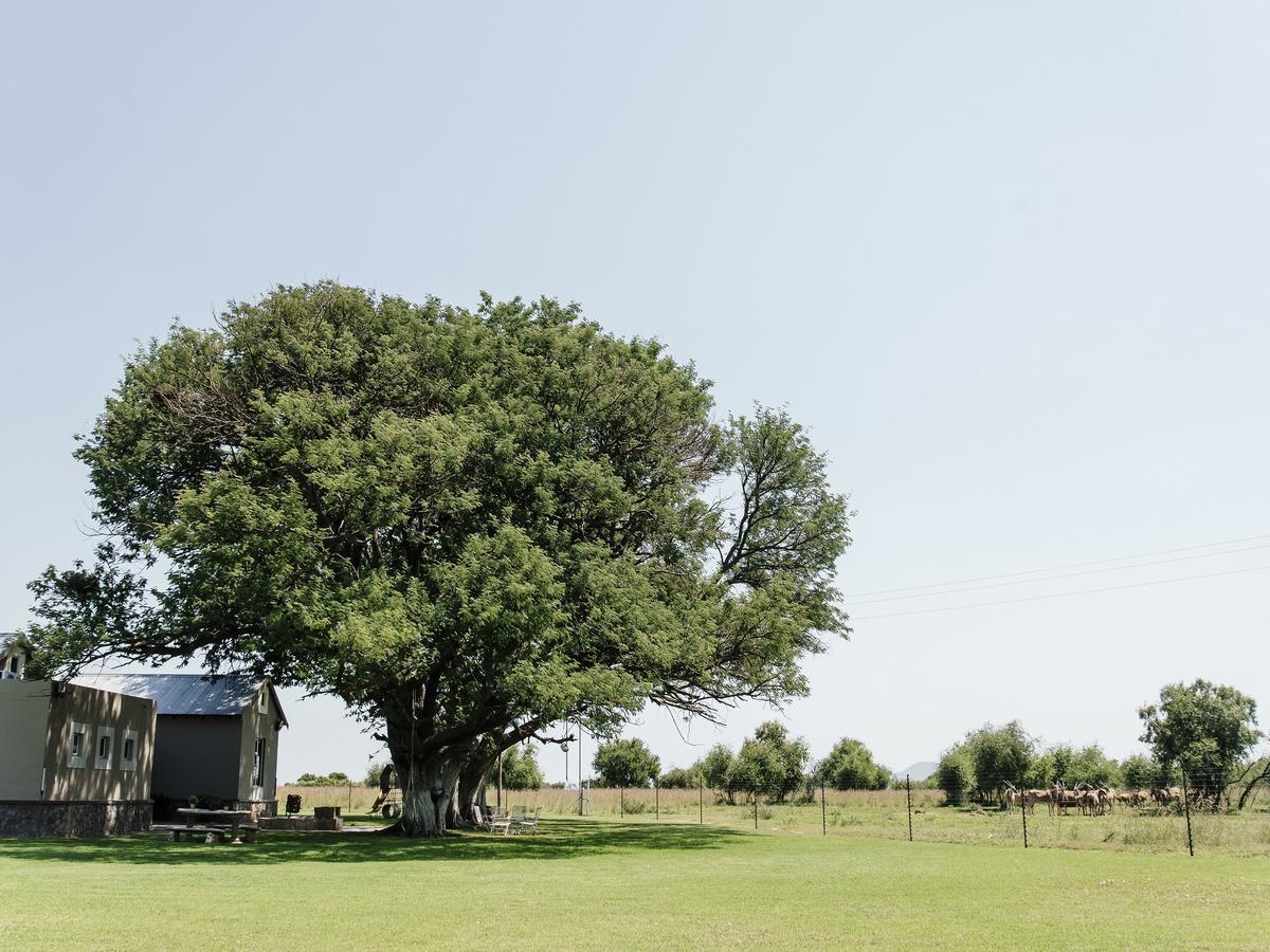 Buffalo Thorn Tree Lodge Swartruggens Εξωτερικό φωτογραφία